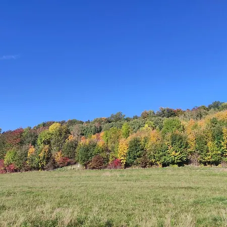 Dom wakacyjny Okno Na Raj Całoroczne *