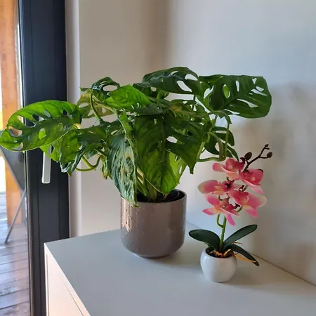 Ferienhaus Okno Na Raj - W Gorach Stolowych *