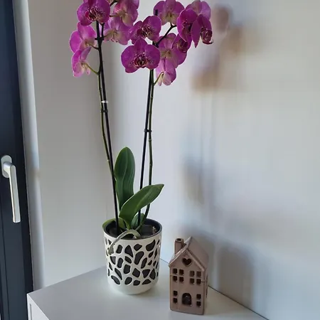 Ferienhaus Okno Na Raj - W Gorach Stolowych