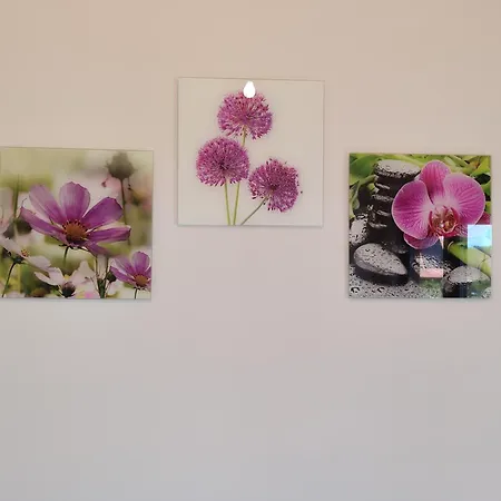 Dom wakacyjny Okno Na Raj Całoroczne