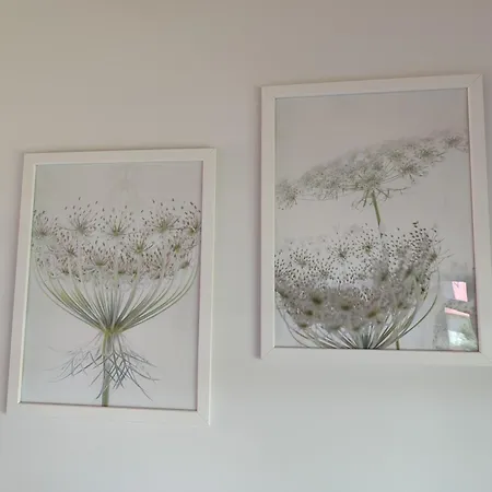 Okno Na Raj Całoroczne Dom wakacyjny