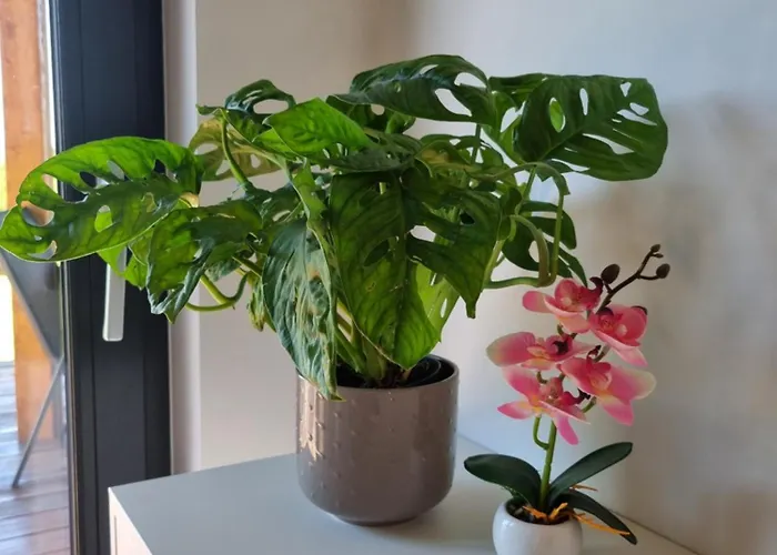 Vakantiehuis Okno Na Raj - W Gorach Stolowych *